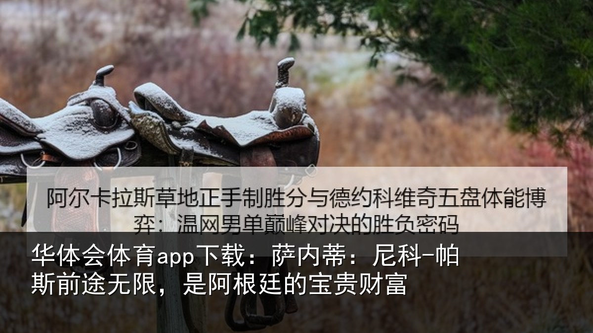 华体会体育app下载:萨内蒂:尼科相关情况贵财富