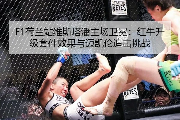 he-lan-zhan-wei-si-ta-pan-zhu-chang-wei-mian-hong-niu-sheng-ji-tao-jian-xiao-guo-yu-mai-kai-lun-zhui-ji-tiao-zhan-2-509.jpg