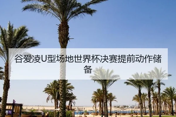 gu-ai-ling-xing-chang-di-shi-jie-bei-jue-sai-ti-qian-dong-zuo-chu-bei-3-445.jpg