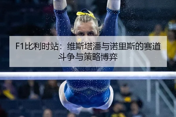bi-li-shi-zhan-wei-si-ta-pan-yu-nuo-li-si-de-sai-dao-dou-zheng-yu-ce-lve-bo-yi-2-333.jpg