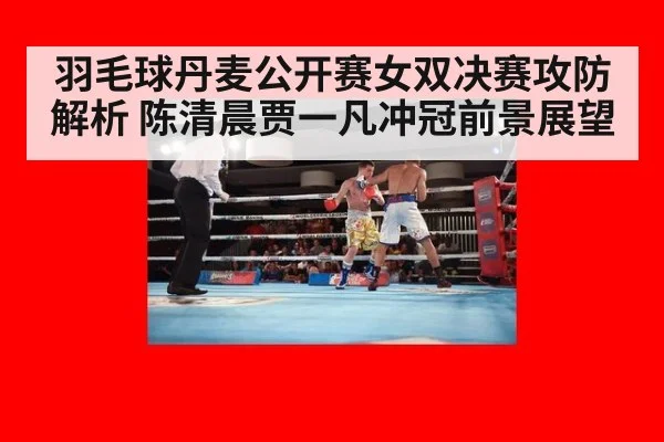 羽毛球丹麦公开赛女双决赛攻防解析 陈清晨贾一凡冲冠前景展望